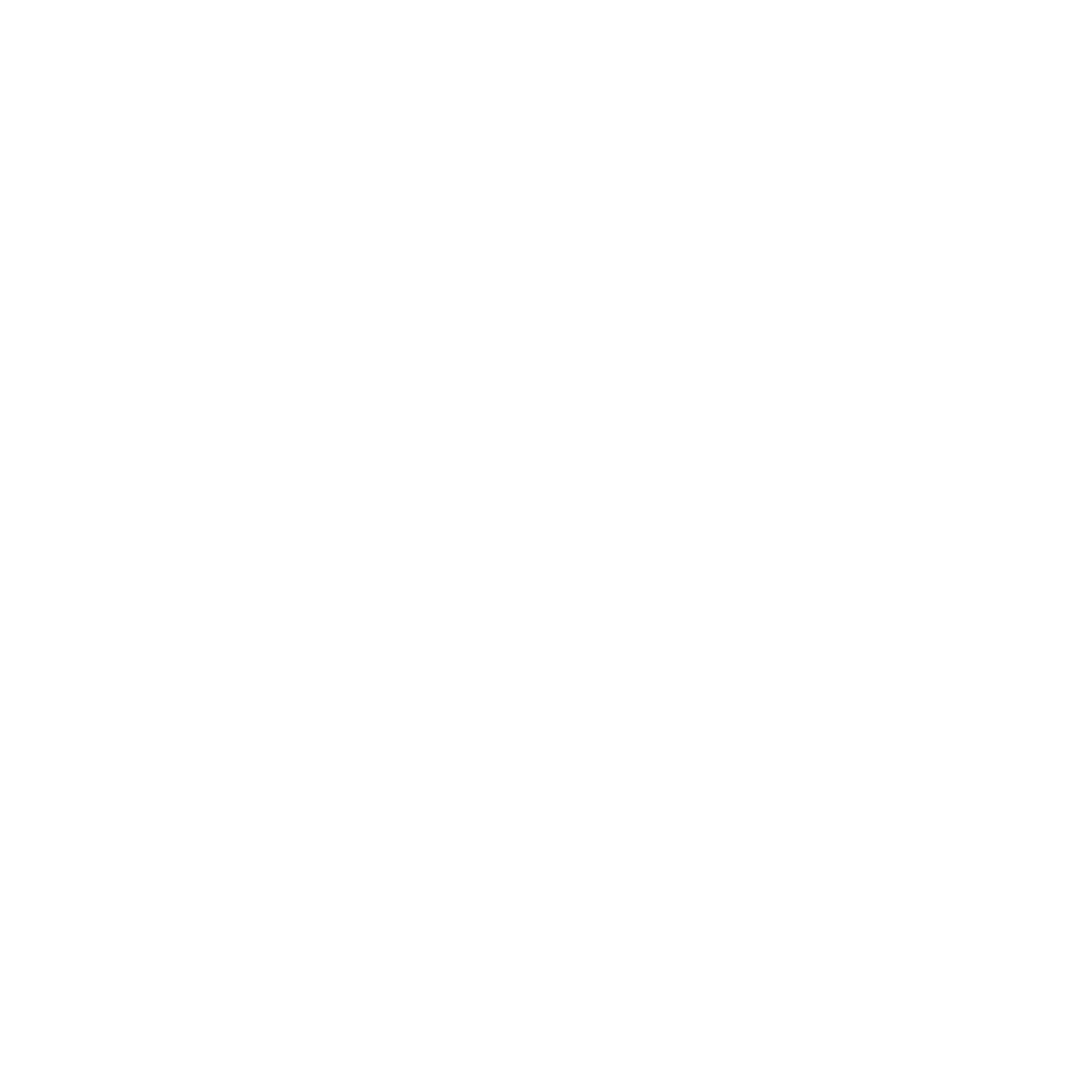 Bose Professional Logo