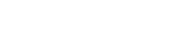 Bravo Sports Logo